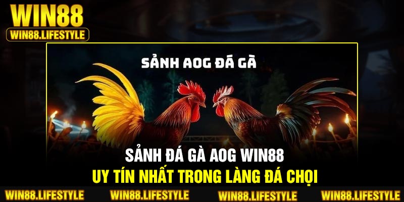 Sảnh đá gà AOG Win88 uy tín nhất trong làng đá chọi